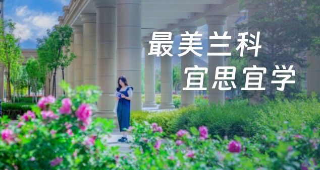 2026美加墨世界杯官方网站